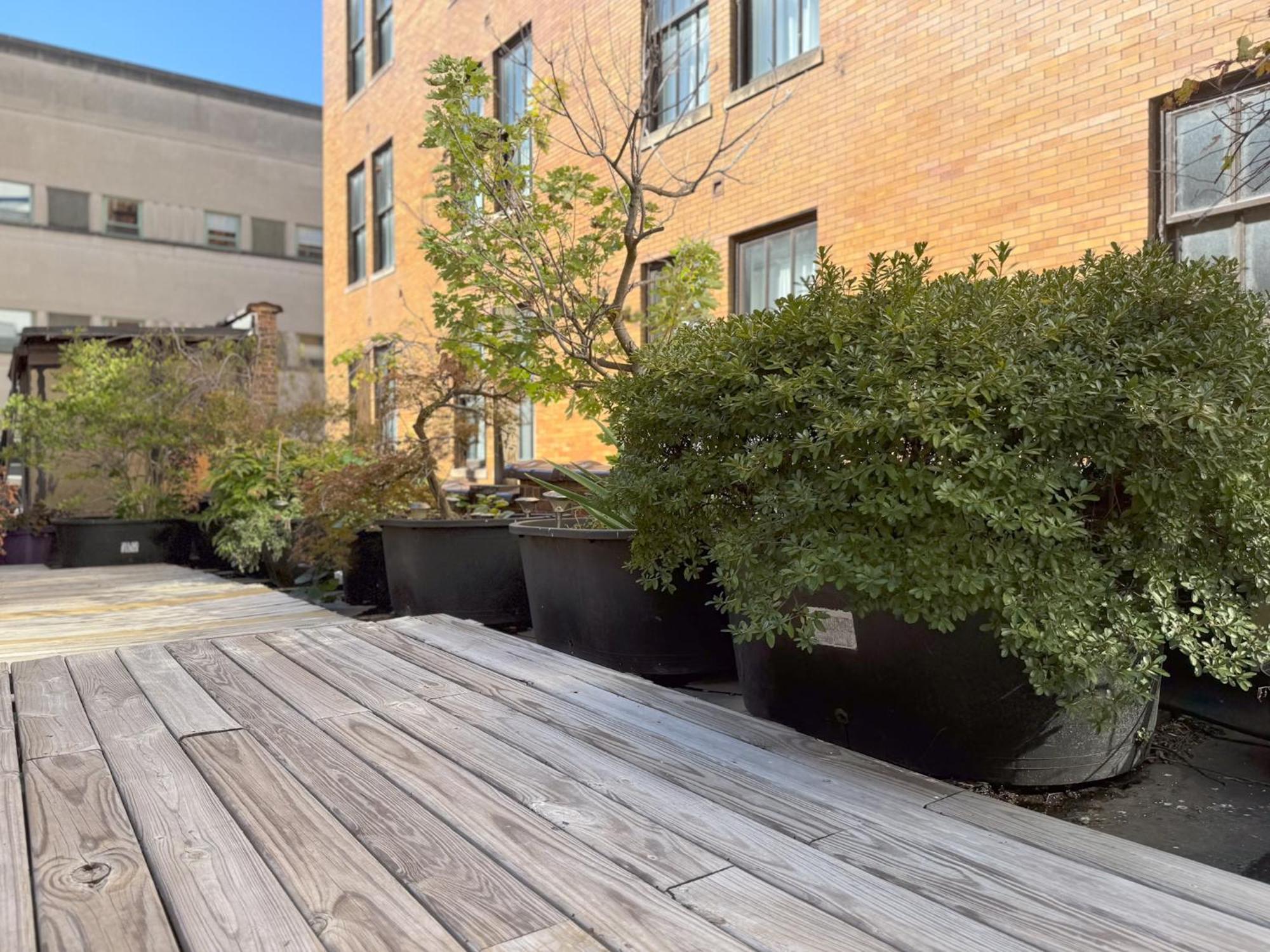 The Historic Lyric Penthouse With Private Rooftop シンシナティ エクステリア 写真